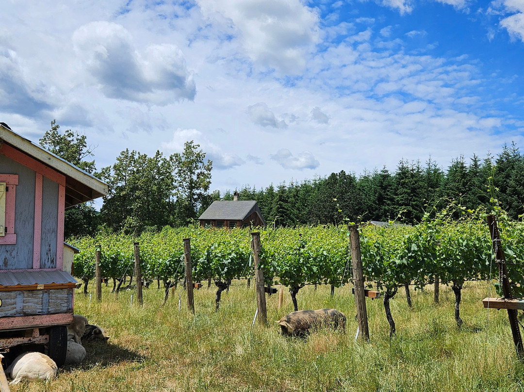 Antiquum Farm-Junction City必去景点