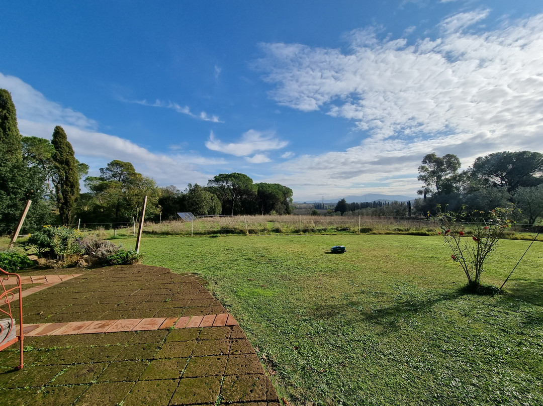 Agriturismo Bio Fattoria Di Pietra主图