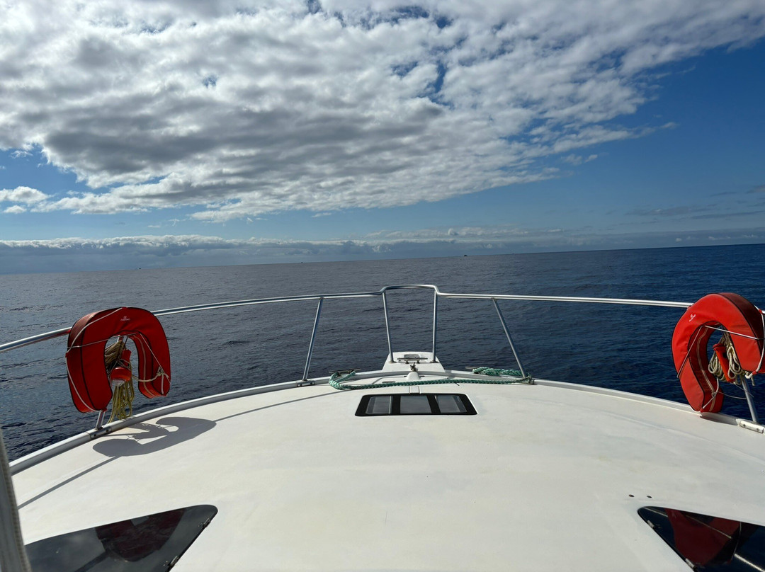 Madeira Marlin Charters-卡列塔必去景点