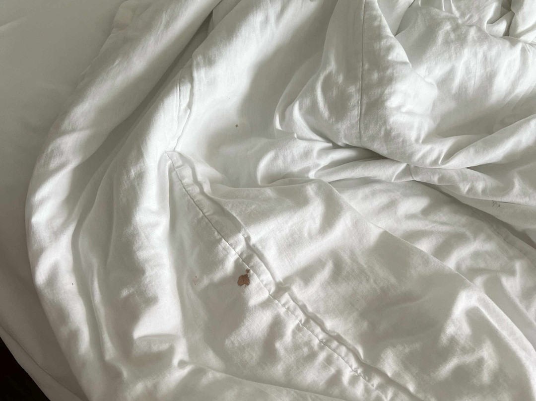 Ilunion Valencia 4主图