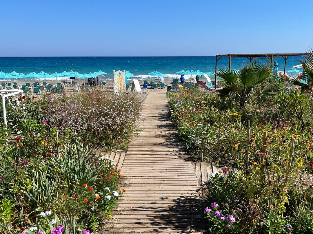 Golden Beach Hotel主图