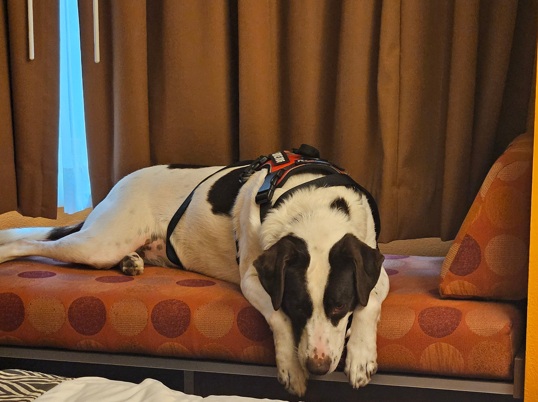 Sandstone Hollow Inn主图