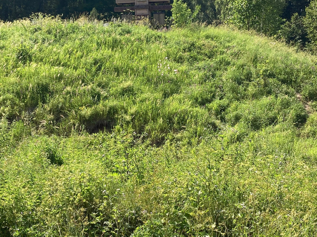 Old Cemetery-Tarusa必去景点