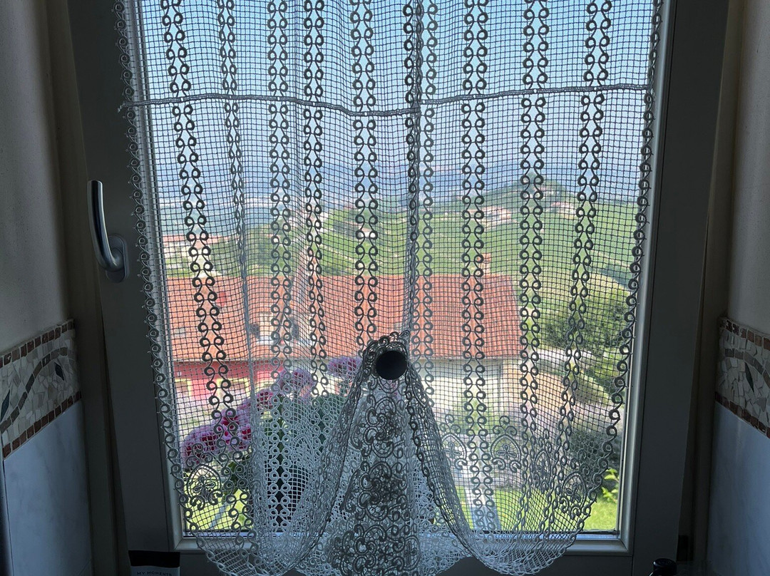 Domus Langhe B&B主图