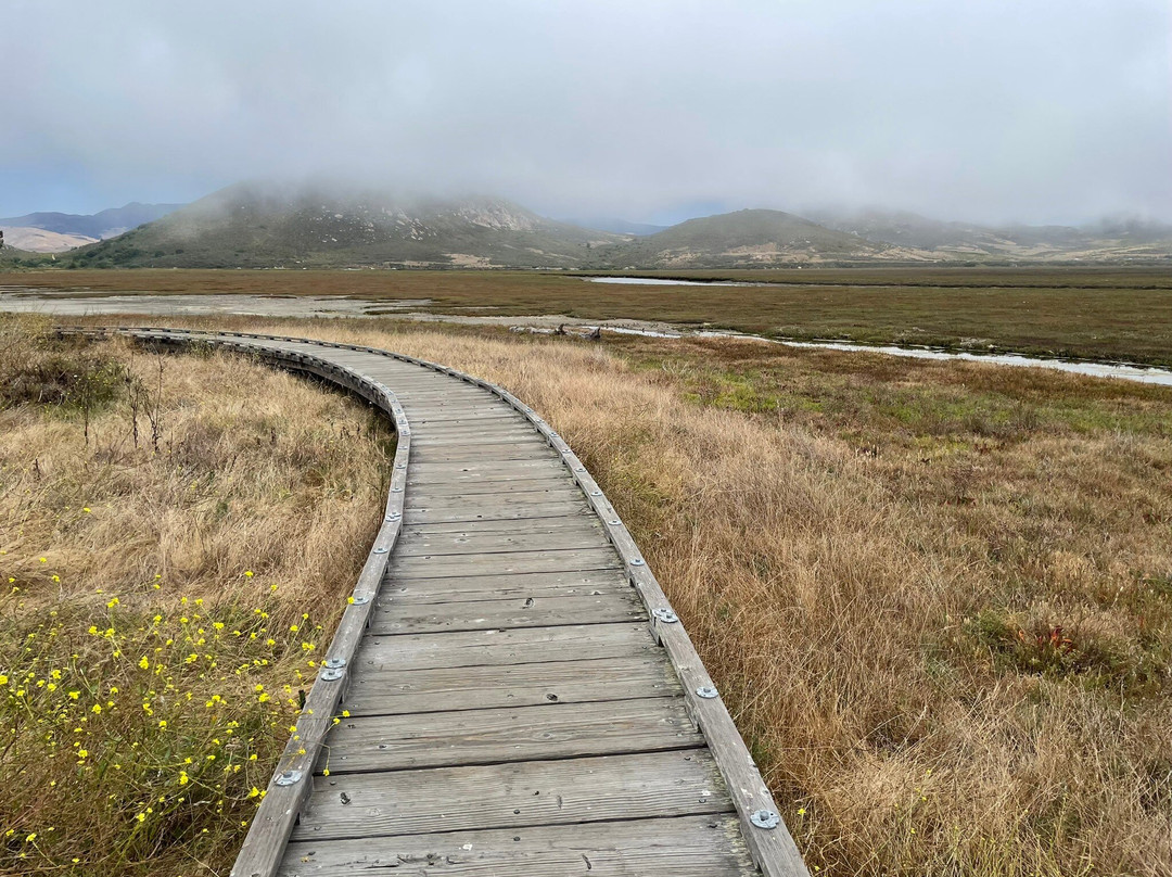 Morro Bay Boardwalk景点图片