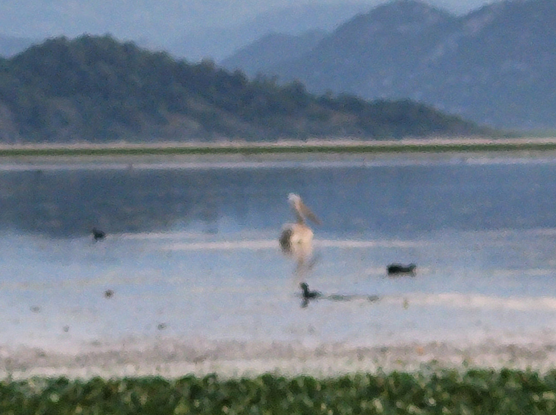 Nikena Eco Adventures-波德戈里察必去景点