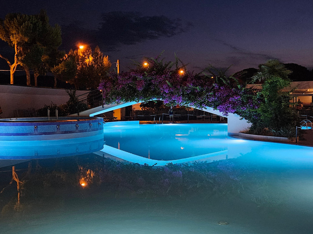 Oasiclub Hotel主图