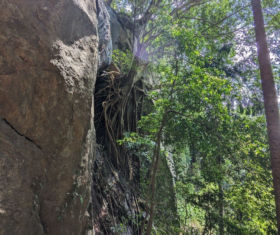 Ravana's Cave-埃勒必去景点