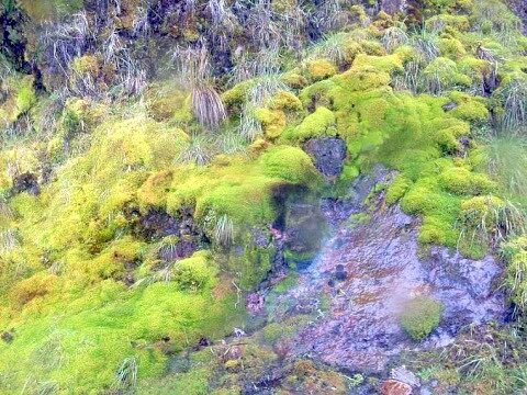 Parque Nacional Natural Los Nevados-Manizales必去景点