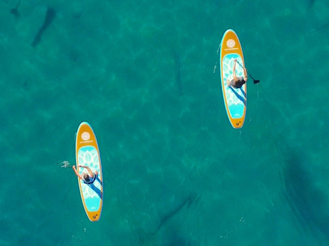 Las Vegas Paddleboard景点图片