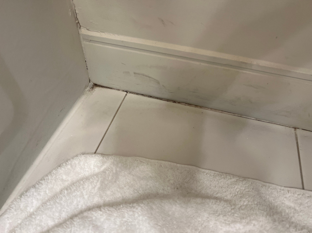 芝加哥奥黑尔机场福朋酒店主图