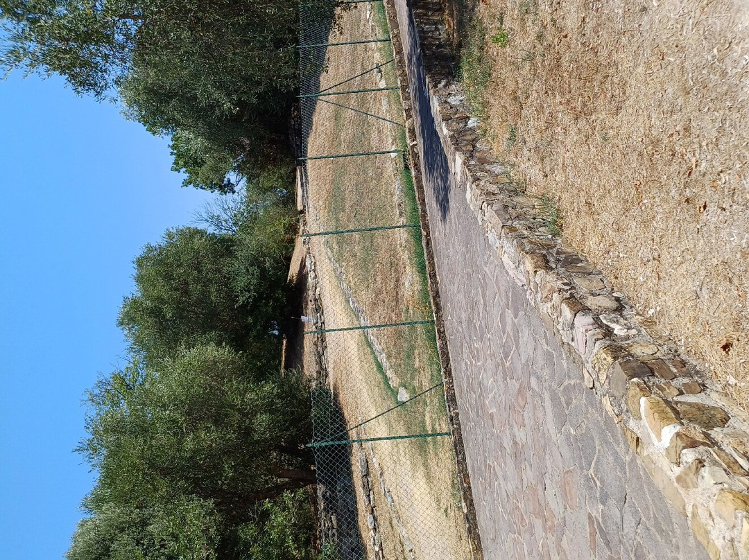 Borgo Antico di Vetulonia景点图片