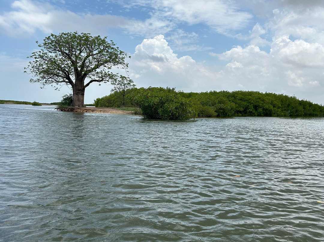 Senegal Decouverte景点图片