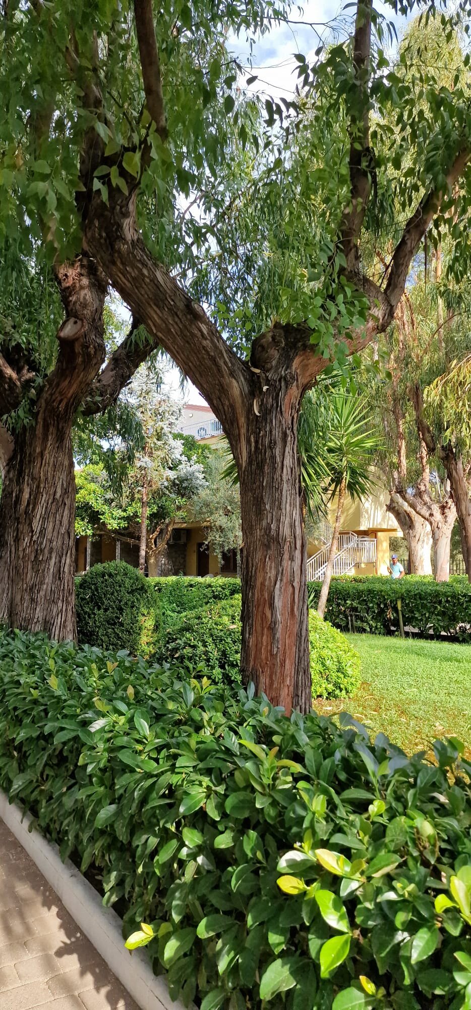 Holiday Beach Family Village-浴室