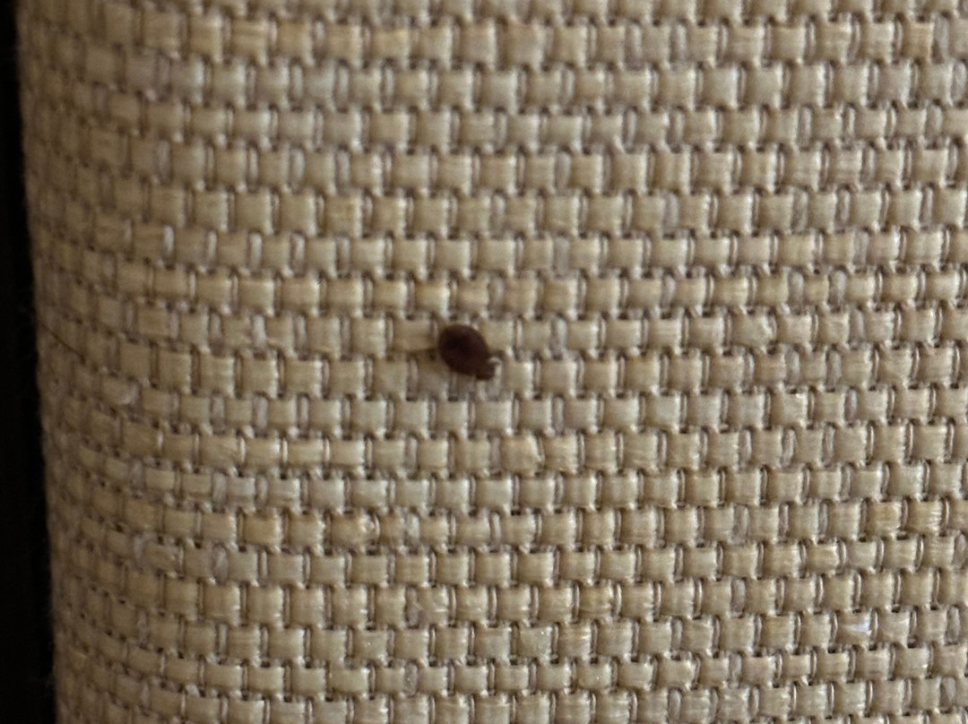 Camp Inn Lodge主图