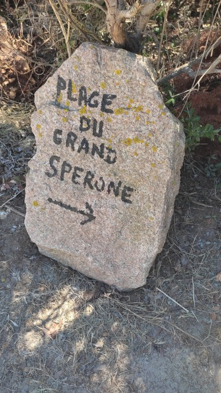Plage du Grand Sperone景点图片