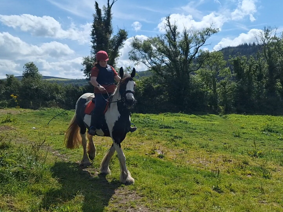 Ballyhoura Horse Trekking-Kilfinane必去景点