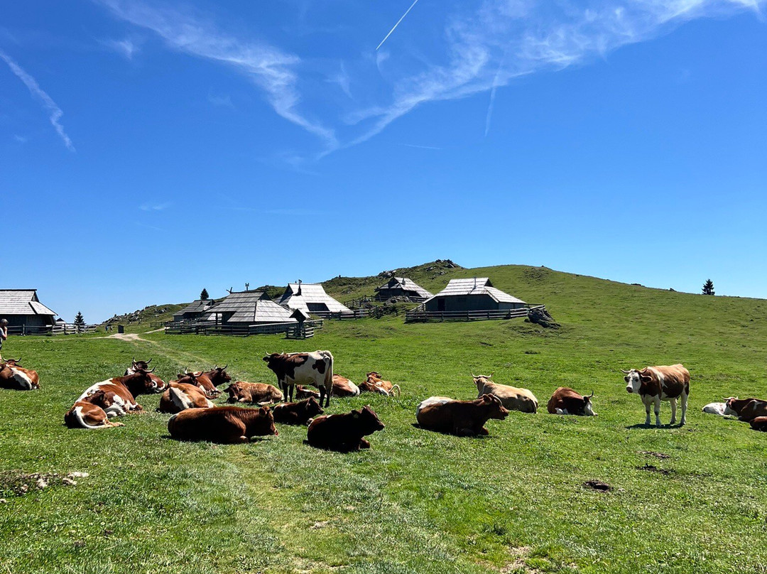 Velika Planina-Stahovica必去景点