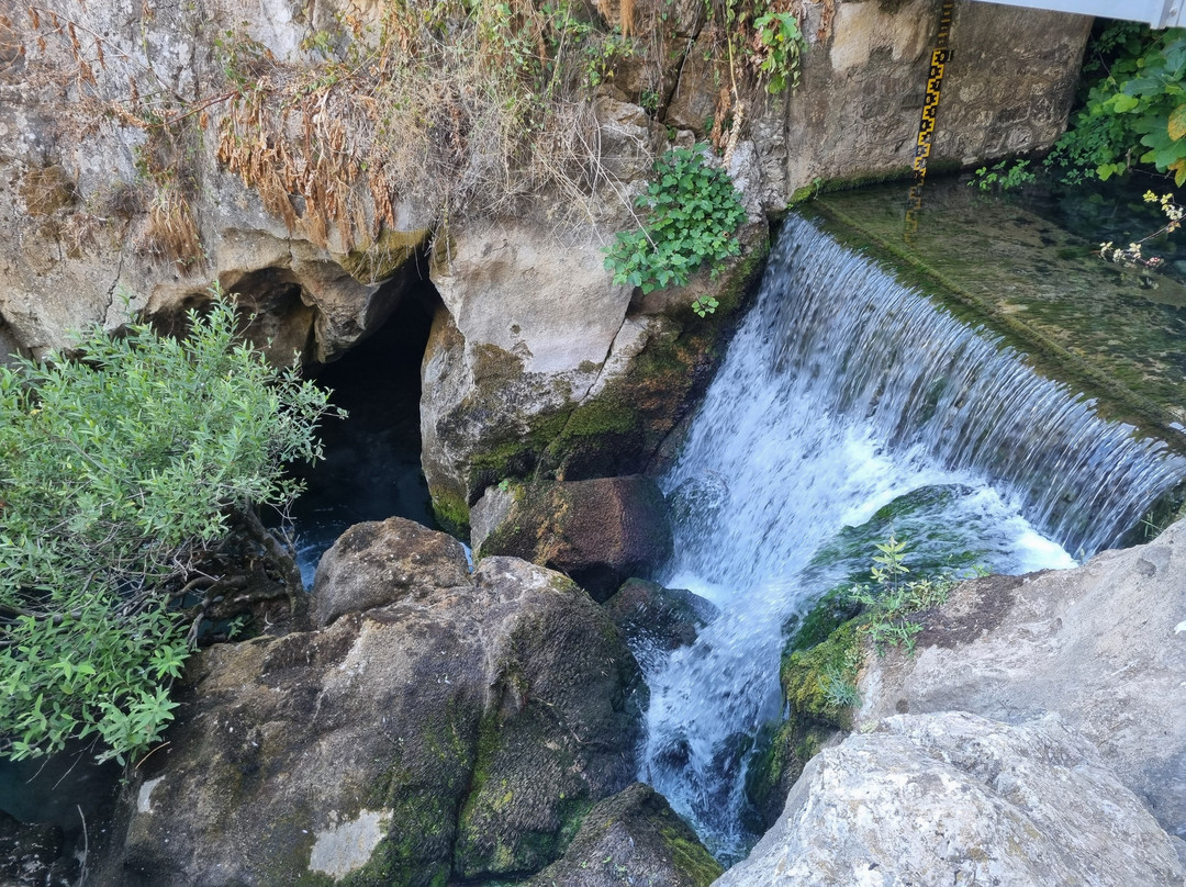 Cueva del Gato景点图片