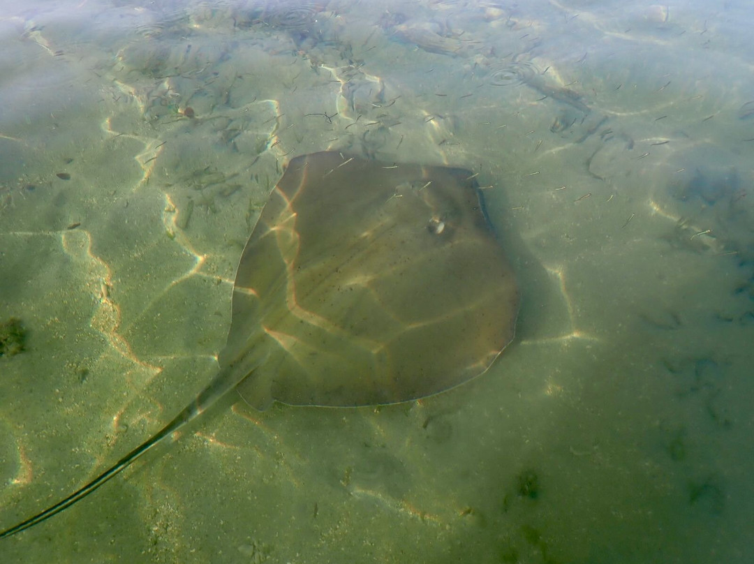 Stand Up Paddle Tobago-Canaan必去景点