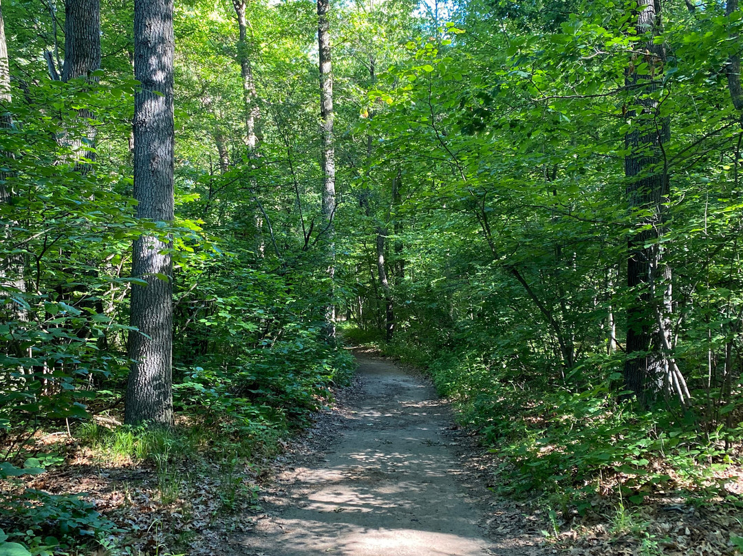 Wildwood Metropark-托莱多必去景点