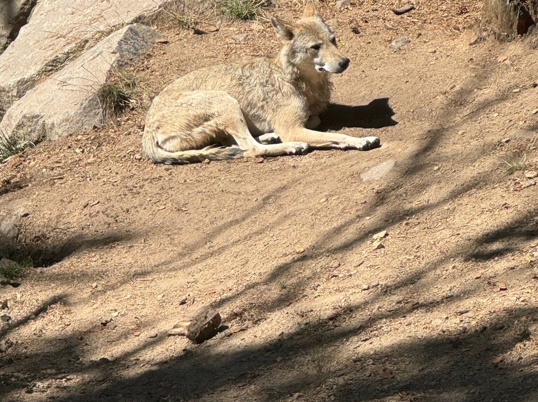 Les Loups du Gevaudan景点图片
