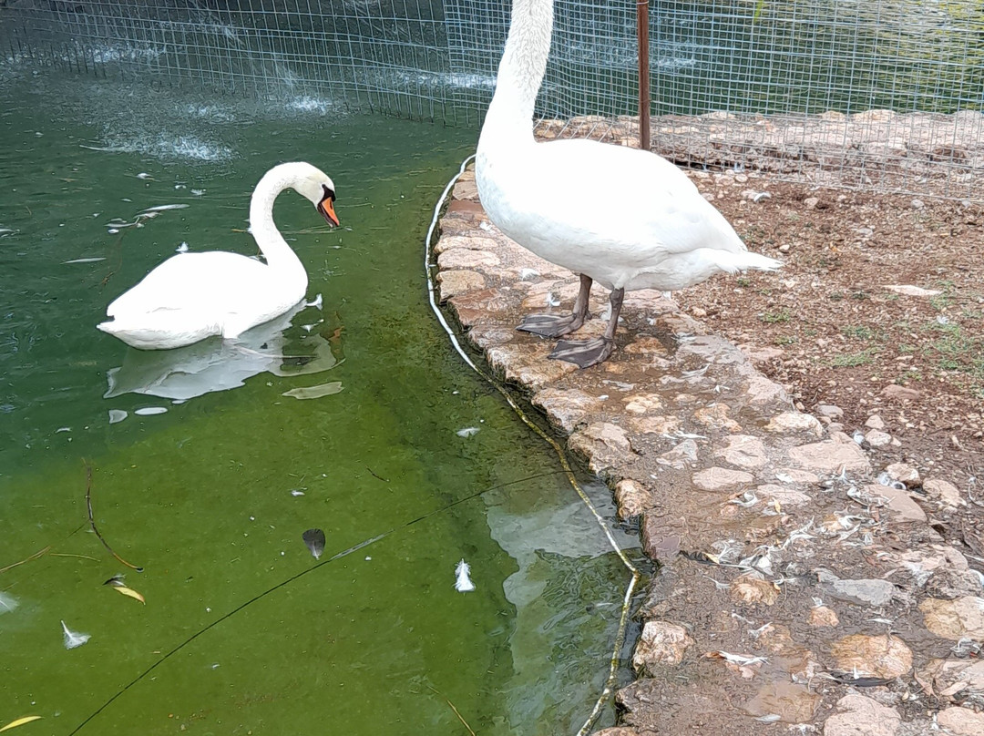 Zoologikós Kípos Kalavrýton-卡拉夫里塔必去景点