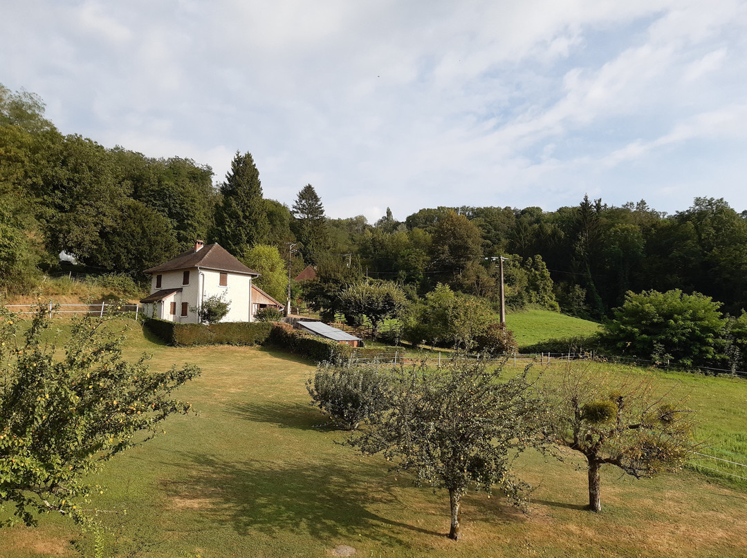 Hotel des Bergeronnettes主图