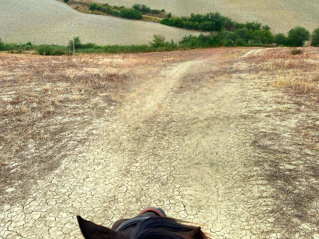 Centro Equestre Samarcanda-沃尔泰拉必去景点