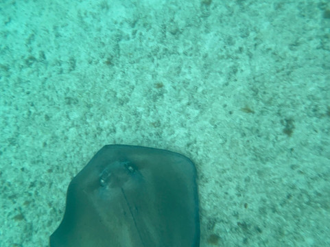 Playacht - Private Yacht Rentals-图伦必去景点