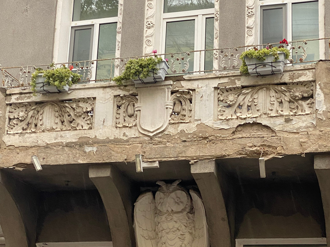 The House with an Owl景点图片