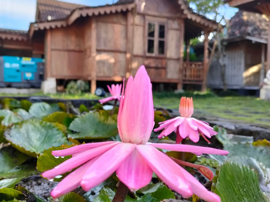 The Amrta Borobudur主图