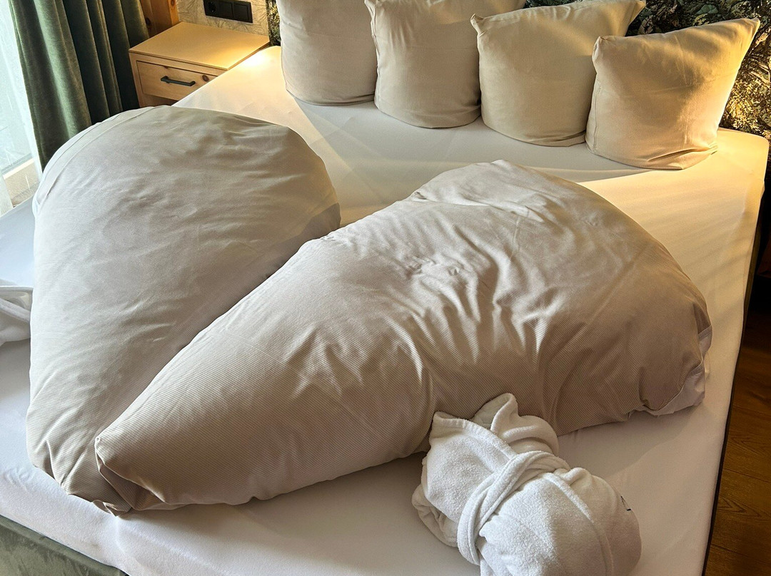 Alpin Family Resort Seetal主图