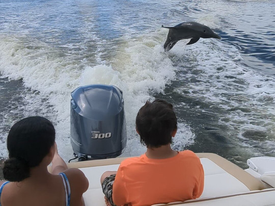 Key Life Charters-西耶斯塔岛必去景点