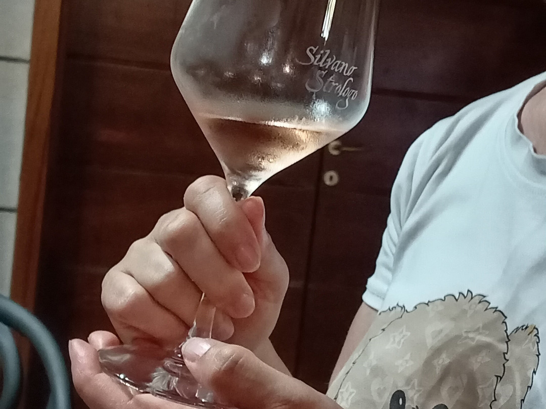 Cantina Strologo Silvano-Camerano必去景点