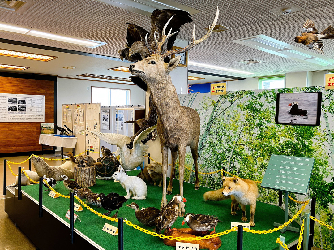 Nemuro City Hoppo Ryodo Museum-根室市必去景点