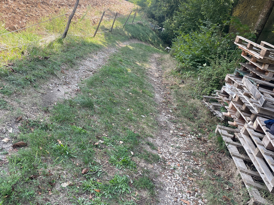Paintball Orelgames Vezéronce Curtin景点图片