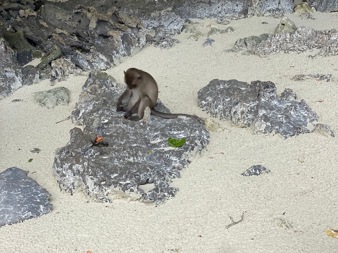The Bridge Travel Phuket-普吉镇必去景点