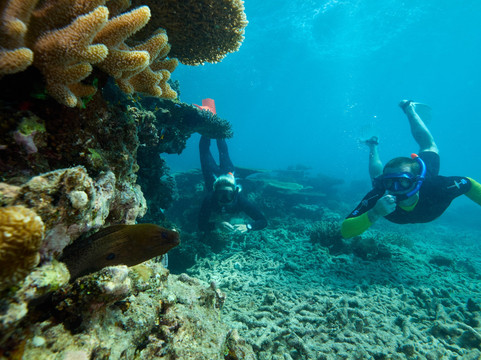 Reef Adventures-凯恩斯必去景点
