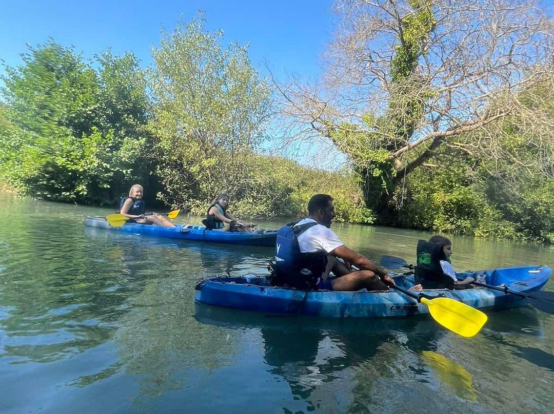 Dragonfly Kayak: The Acheron Experience景点图片