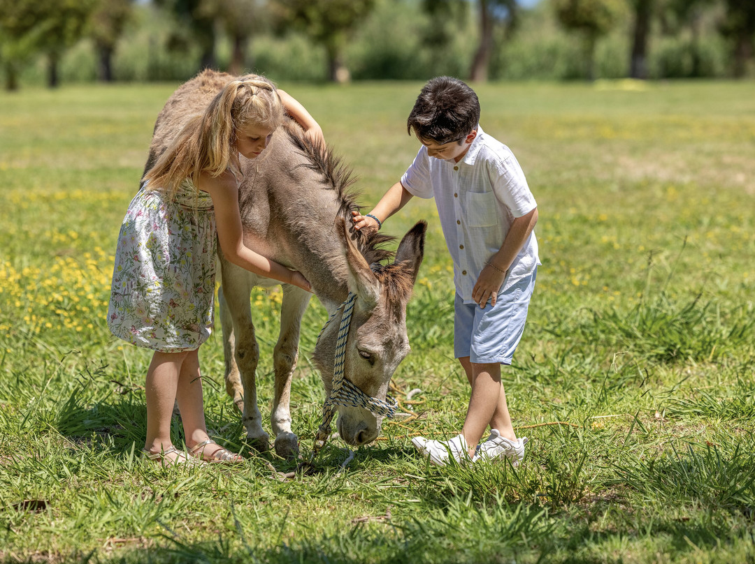 Grecotel Luxme Costa Botanica主图