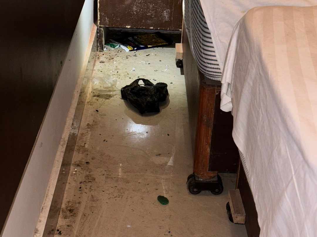 Hotel Adelphi Grande主图