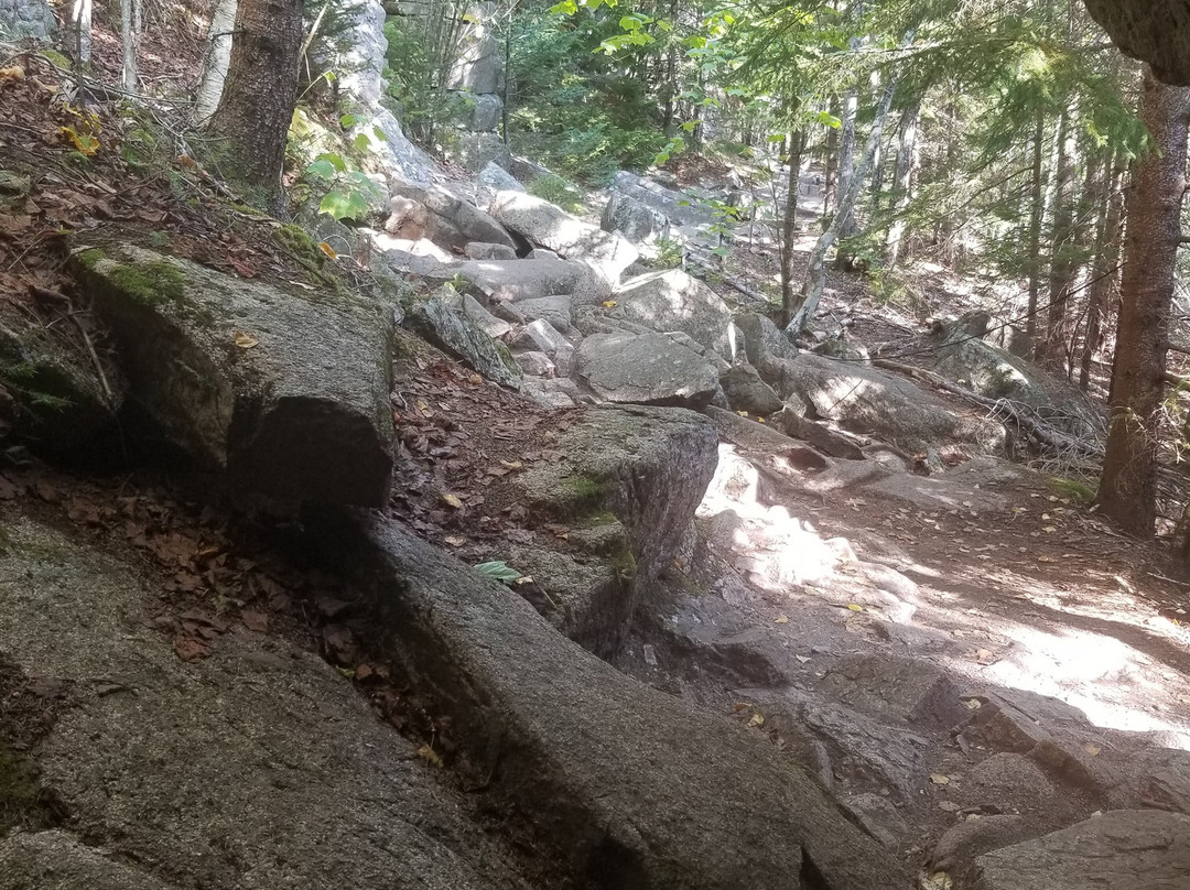 Gorham Mountain Trail景点图片