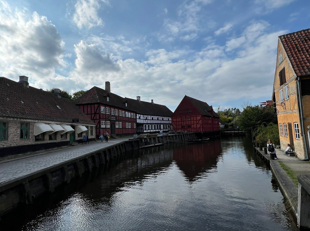 Old Town in Aarhus-欧胡斯必去景点