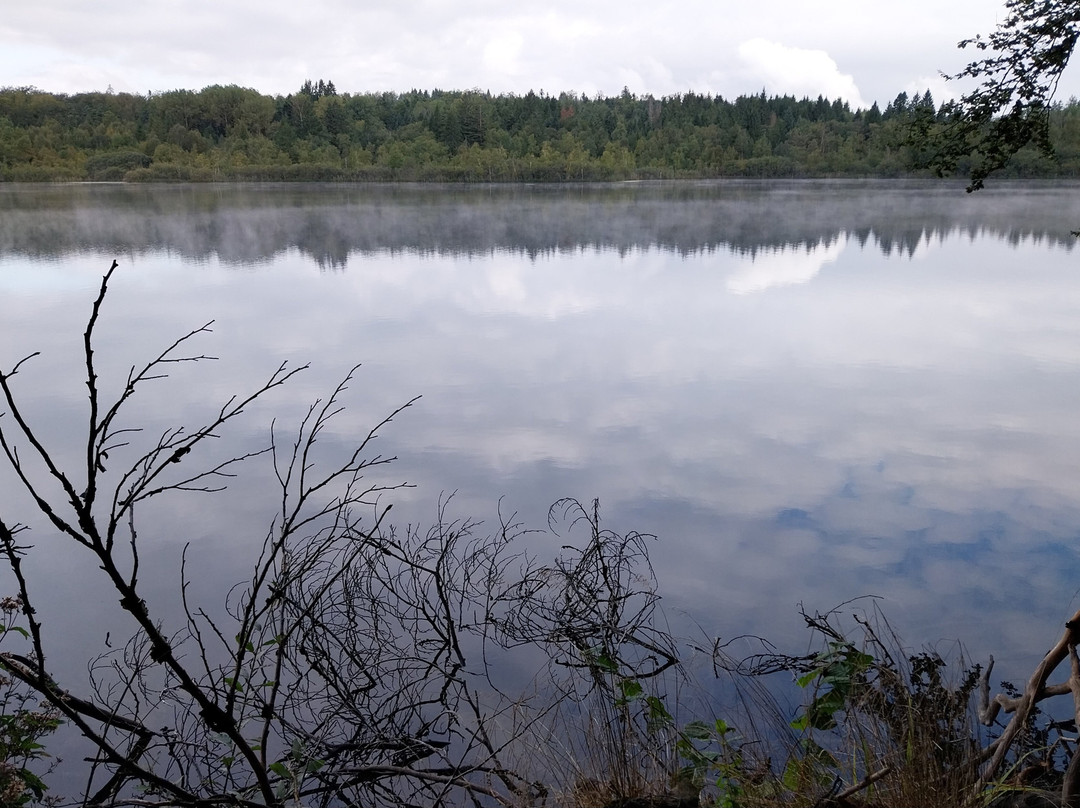 Lac de Bonlieu-Bonlieu必去景点