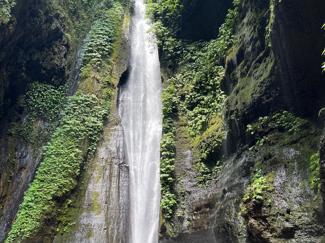 Segare Bali Tour - Private Day Tours-登巴萨必去景点