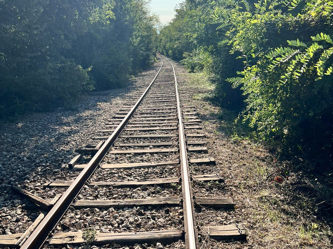 Velorail景点图片