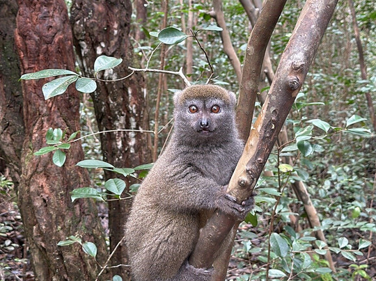Etiland Tour Madagascar