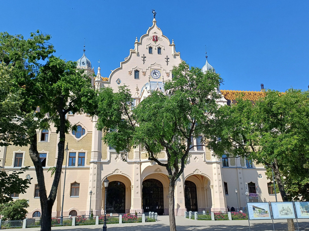 Kecskemét Town Hall景点图片