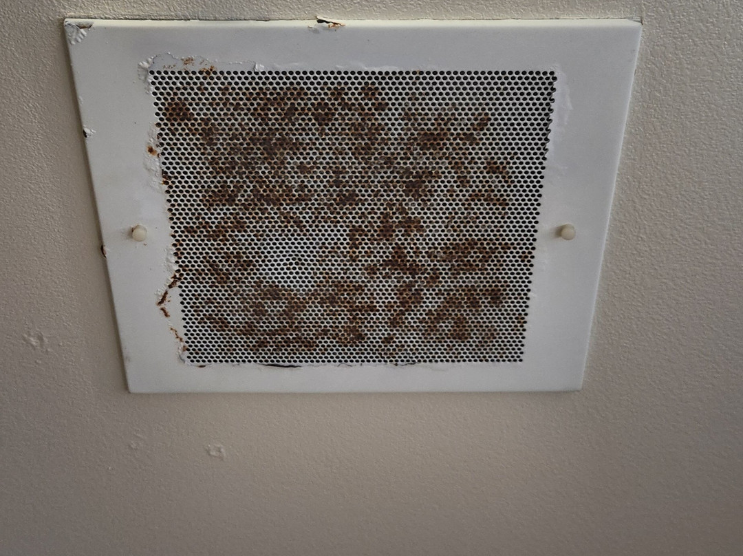 Candlewood Suites Colonial Heights-Ft Lee by IHG主图